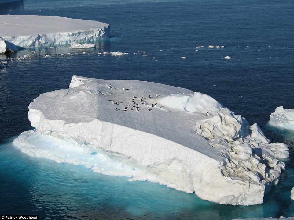 A bird's eye view of the local sights is available for guests who want to take in the spectacular scenery